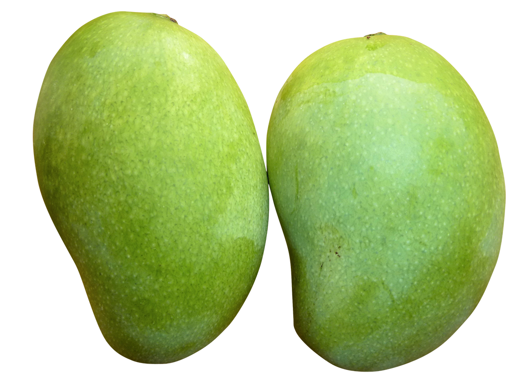 green mangoes image, green mangoes png, green mangoes png image, green mangoes transparent png image
